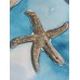 Seashells — Original Watercolor Painting by Marina Stognieva | Crimea